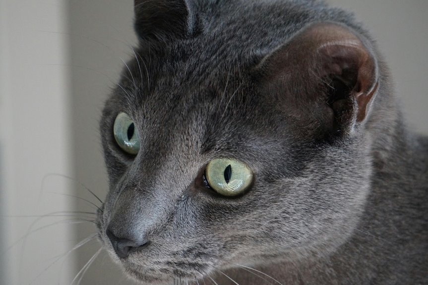 agn z der on personality exploration