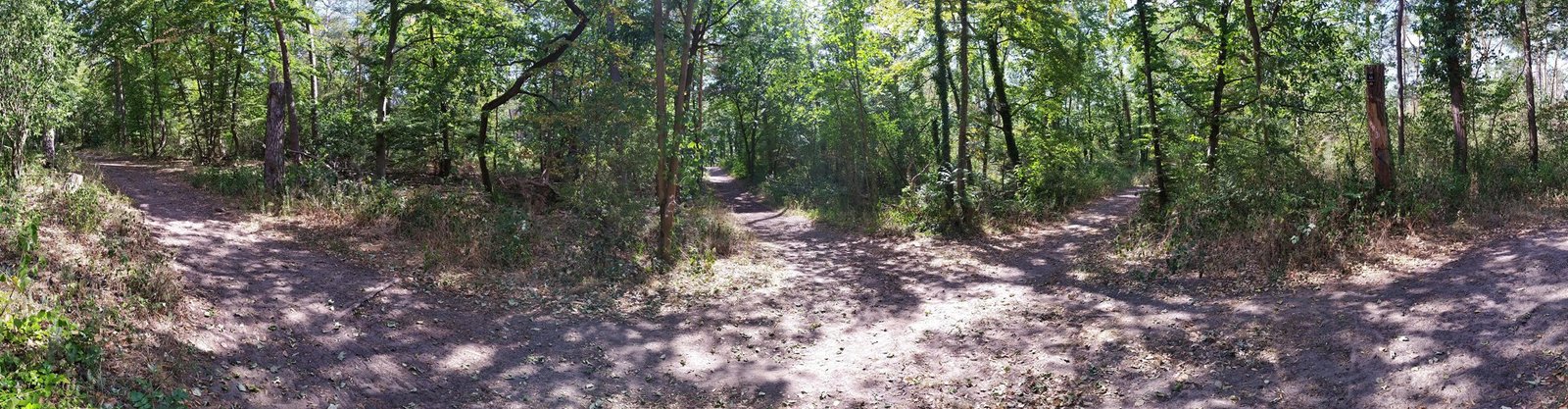 chronicle of woven trails