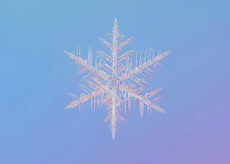 crystal ember coil item