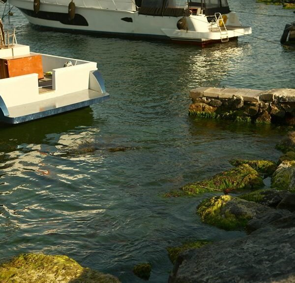 Gentle Harbor Stone – 854017000