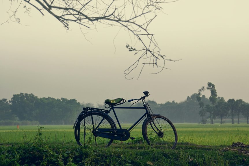 misted sparrow loop location