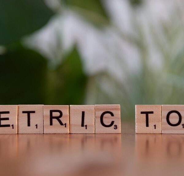 online authority size metrics